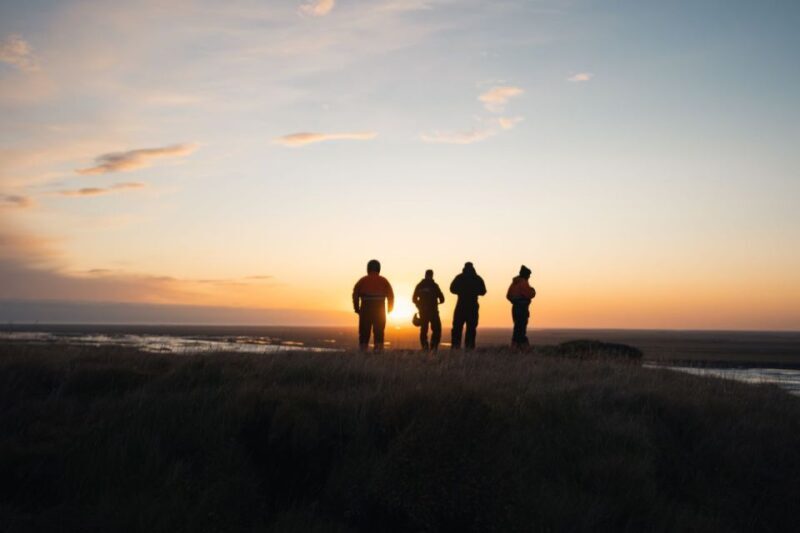 Hvolsvöllur: Iceland Guided Buggy Adventure Tour - Cost and Value