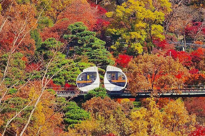 Hwadam Botanic Garden and Namhansanseong and Folk Village Trip - A Deep Dive into the Tour Experience