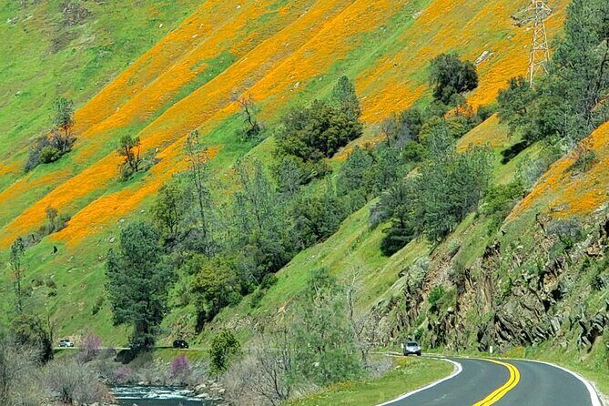 Hwy 140 Route Glacier Point and Yosemite Valley Small Group Tour - The Sum Up