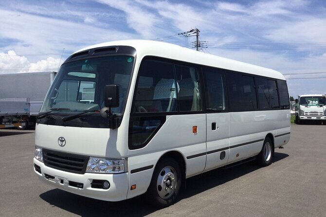 Hyatt Ziva Rose Hall Private Airport Transfer - Who should book this transfer?