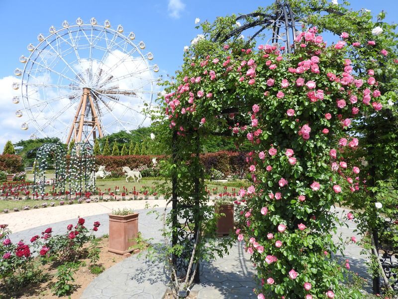 Hybrid Leisure Land Tobu Zoo Ticket Tokyo - How to make the most of the animal areas