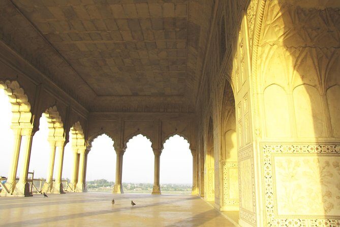 Hyderabad to Taj Mahal and Agra Fort Same Day Tour with Flights - Authentic Experiences and Visitor Feedback