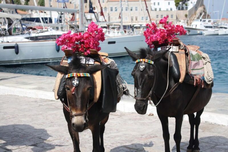 Hydra & Poros: 2 islands private day tour from Athens - FAQ