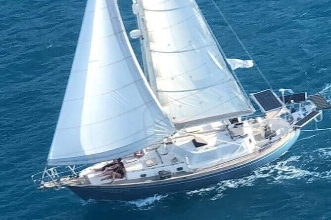 I Like Turtles Private Sailing and Snorkeling from Sapphire - An In-Depth Look at the "I Like Turtles" Private Sailing and Snorkeling Experience