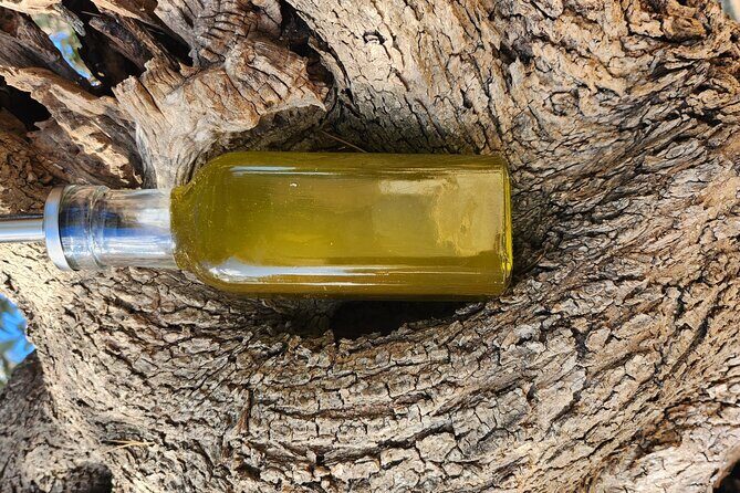 I wil explain you everything about our extravirgin olive oil - The Sum Up: A Real Taste of Puglia