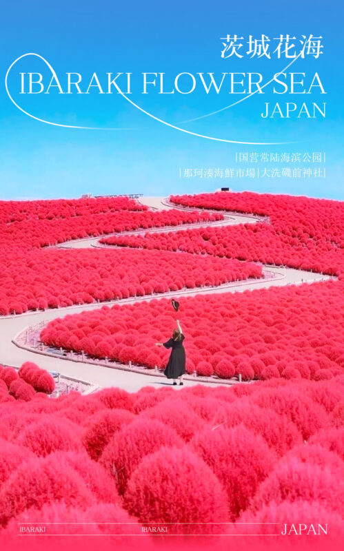 Ibaraki Coastal Flower Scenery Tour - Oarai Isosaki Shrine Torii, Nakaminato Fish Market, Hitachi Seaside Park Day Trip - Why this Ibaraki route makes sense from Tokyo