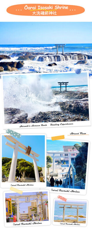 Ibaraki Coastal Flower Scenery Tour - Oarai Isosaki Shrine Torii, Nakaminato Fish Market, Hitachi Seaside Park Day Trip - Make the market stop count