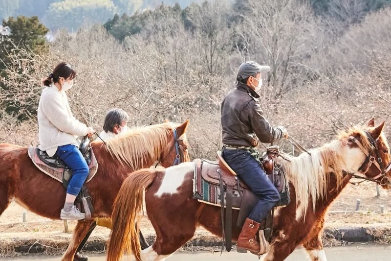 Ibaraki | Mt. Tsukuba Horseback Riding Experience - A forest ride at the foot of Mt. Tsukuba