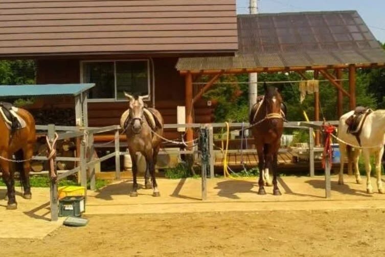 Ibaraki | Mt. Tsukuba Horseback Riding Experience - The guides and language support