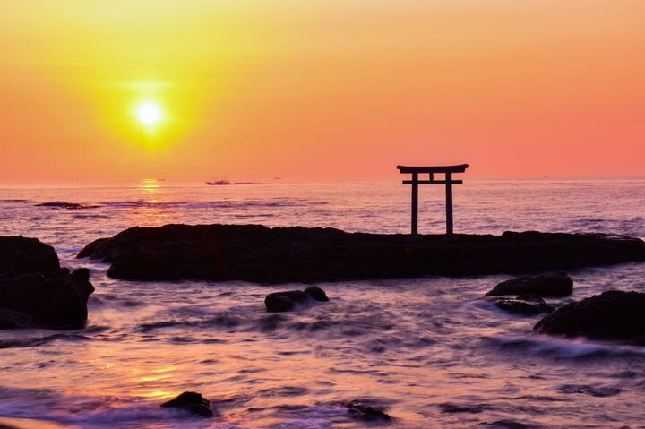 Ibaraki/Tokyo Suburbs Private Chartered Day Tour | Hitachi Seaside Park, Ashikaga Flower Park, Tonegawa Fireworks Festival - The schedule is workable, but not roomy