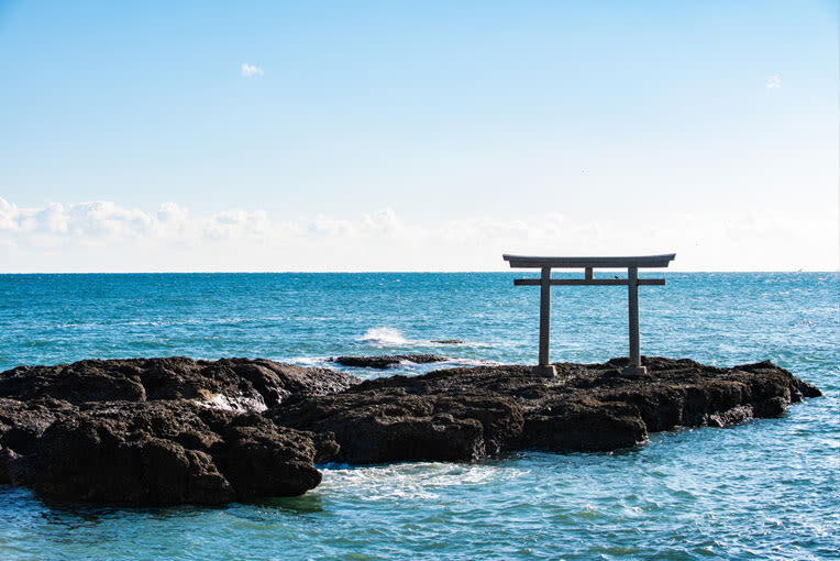 Ibaraki/Tokyo Suburbs Private Chartered Day Tour | Hitachi Seaside Park, Ashikaga Flower Park, Tonegawa Fireworks Festival - What the starting price does and does not tell you