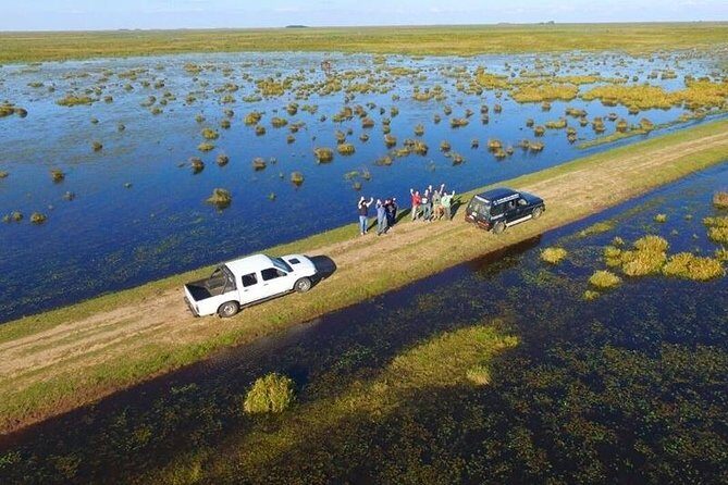 Iberá Wetlands Safari - What the Tour Includes and Why It Matters