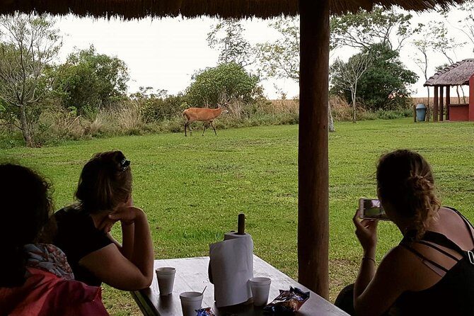Iberá Wetlands Safari - Practical Considerations