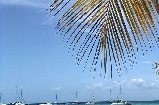 Iberostar Grand Bavaro - Round Trip Shuttle - Punta Cana Airport - Final Thoughts