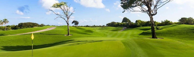 Iberostar Playa Paraiso Golf Club | Tee time Riviera Maya - Final Thoughts: Why This Tour Offers Great Value