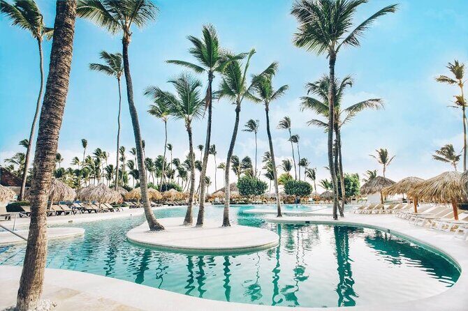 Iberostar Punta Cana - Round Trip Shuttle - Punta Cana Airport - In-Depth Look at the Iberostar Punta Cana Round Trip Shuttle