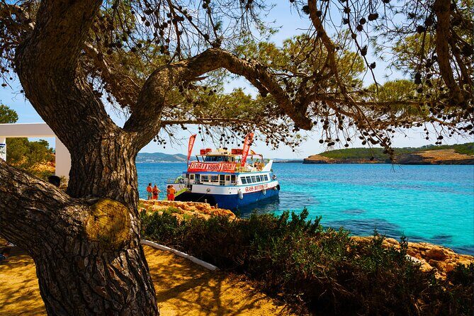 Ibiza Beach Hopping Cruise with Paddleboards, Drinks and Food 6h - Key Points