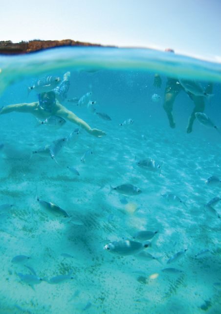 Ibiza: Classic Full or Half-Day Boat Charter - The Sum Up: Is It Worth It?