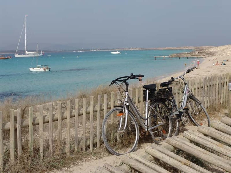 IBIZA day trip to Formentera by bicycle - Who Will Love This Tour?