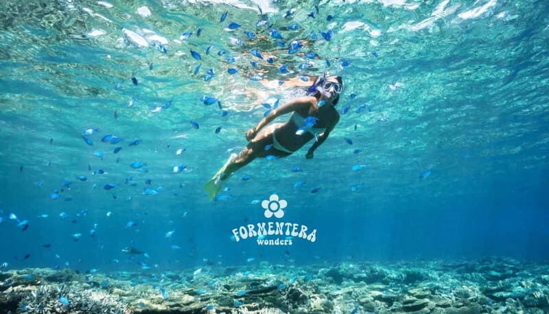 Ibiza: Formentera Cruise with Paella, OpenBar & Water Sports - The Itinerary in Detail: Why Each Stop Matters