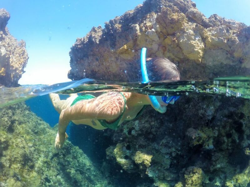 Ibiza: Full Day paddle Boat Tour with Course & BBQ included. - Key Points