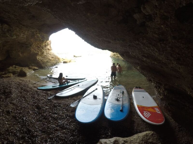 Ibiza: Full Day paddle Boat Tour with Course & BBQ included. - Final Thoughts