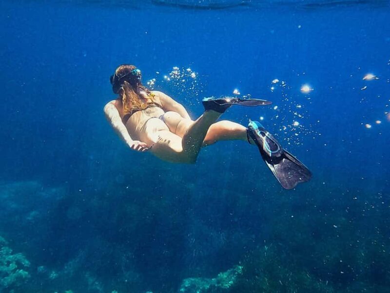 Ibiza: Guided Snorkeling Trip - An In-Depth Look at the Ibiza Guided Snorkeling Trip