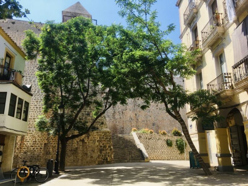 Ibiza: Old Town Guided Walking Tour - An In-Depth Look at the Ibiza Old Town Guided Tour