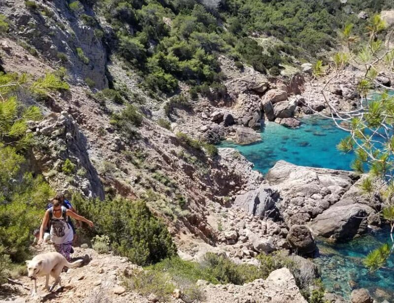Ibiza: Private Hiking Tour with Local Guide - Key Points