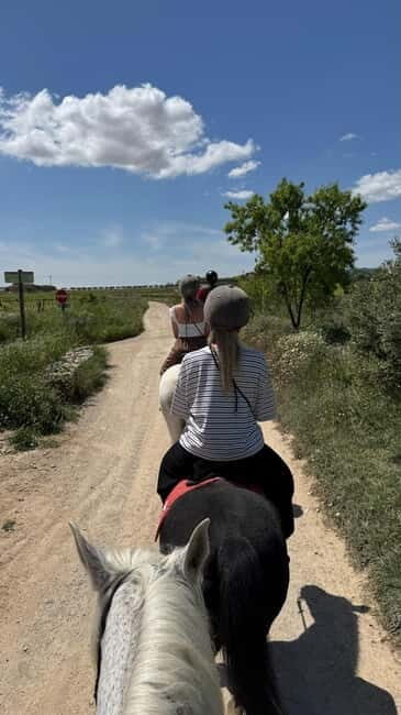 Ibiza: Private Horseback Ride + Picnic + Transport - Ibiza: Private Horseback Ride + Picnic + Transport — A Deep Dive into a Unique Island Experience