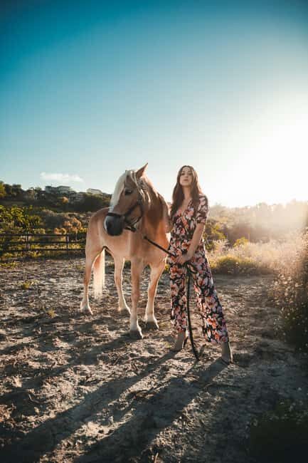 Ibiza: Private Horseback Ride + Picnic + Transport - Key Points