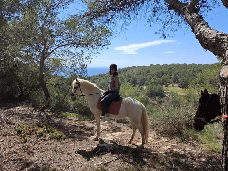 Ibiza: Private Horseback Ride + Picnic + Transport - Authentic Experiences Shared by Travelers