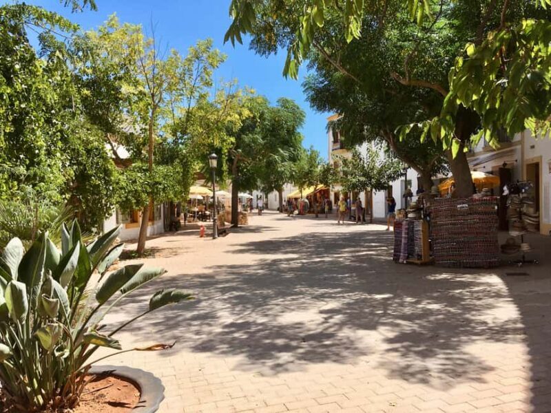 Ibiza shore excursion - Private tour - The Sum Up