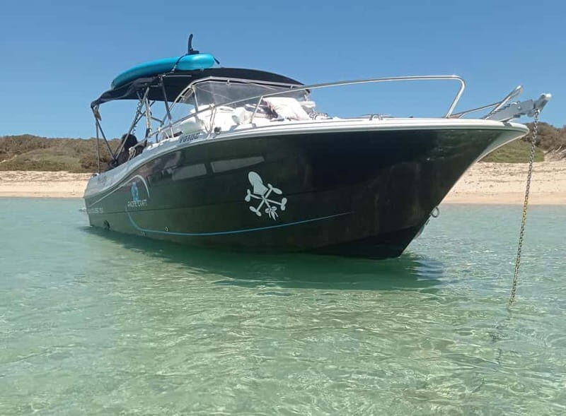Ibiza: short "north of the island" tour from the sea in a private boat - The Ultimate Sea-Level View of Ibiza’s North Coast