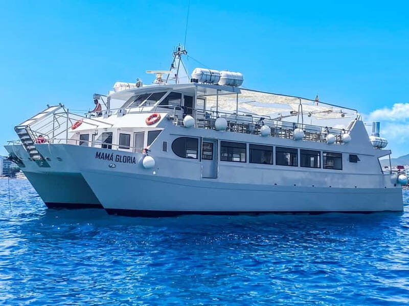 Ibiza: VIP Catamaran Party with DJ, Open Bar, Paella, and Nightclubs - FAQ