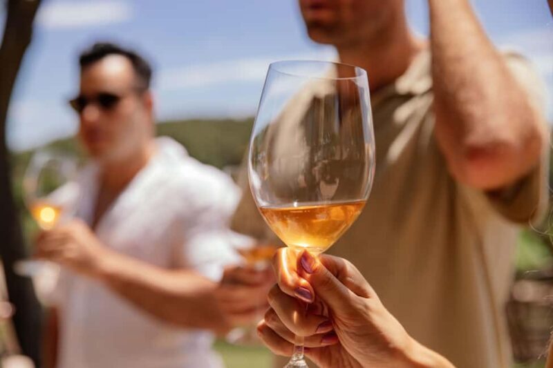 IBIZA Wine Tour: Wine Tasting + TAPAS + Olive Oil+ Transport - Final Thoughts: Who Is This Tour Best For?
