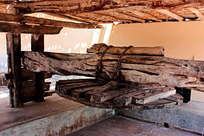 Ica City Tour + Buggies & Sandboarding - A Deep Dive into the Ica City Tour + Buggies & Sandboarding Experience