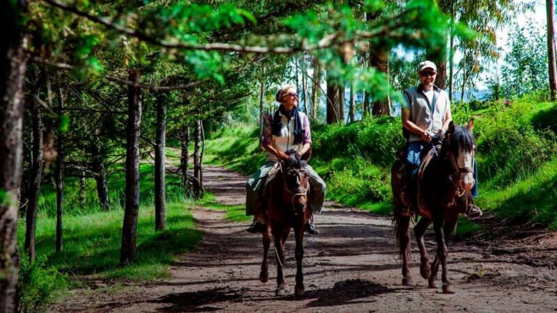 Ica: Horseback riding through the La Caravedo ranch - Key Points