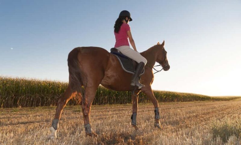 Ica: Horseback riding through the La Caravedo ranch - Frequently Asked Questions