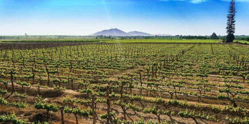 ICA | PISCO AND WINE TOUR WITH DESERT TRIP - Frequently Asked Questions