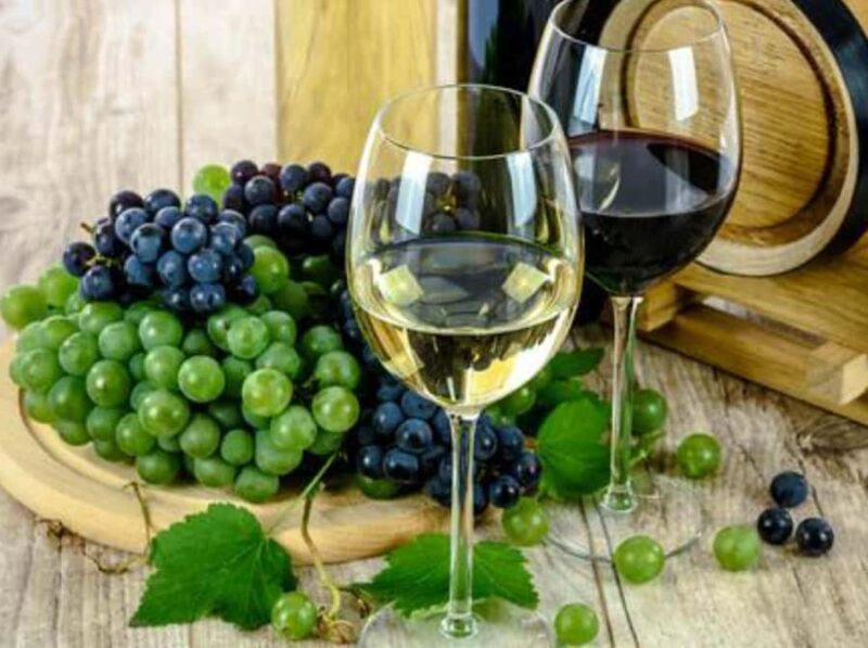 Ica: Pisco Route | Tacama, Arrabal, Bodega Lovera | - Ica: Pisco Route | Tacama, Arrabal, Bodega Lovera |