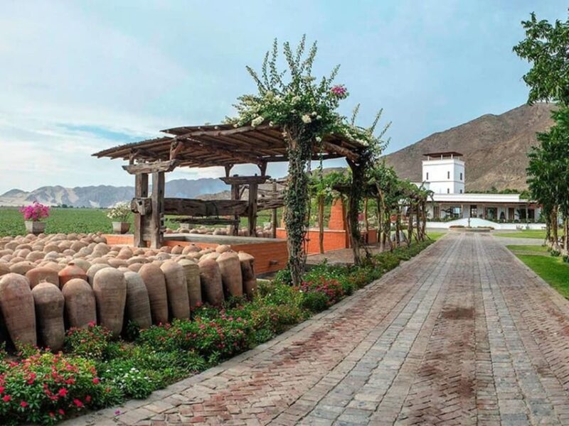 Ica: Pisco Route | Tacama, Arrabal, Bodega Lovera | - Final Thoughts