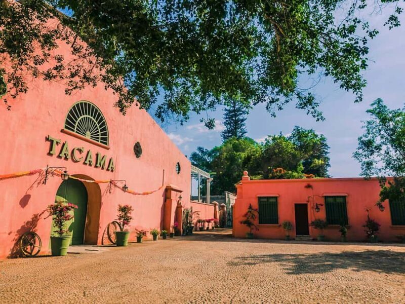 Ica: Pisco Route | Tacama, Arrabal, Bodega Lovera | - Authentic Flavors and Scenic Views: Why This Tour Works