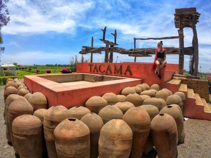 Ica: Pisco Tour | Tacama, Arrabal, Bodega Lovera | - Exploring Ica’s Wineries: What to Expect from the Tour
