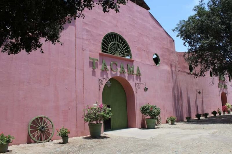 Ica: Pisco Tour | Tacama, Arrabal, Bodega Lovera | - Final Thoughts: Is It Worth It?