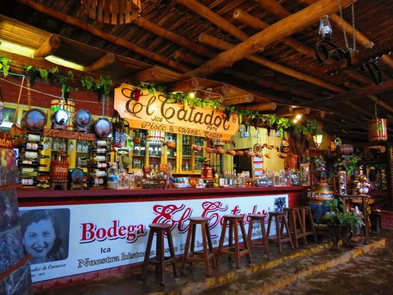 Ica: Private City Tour & Wine Tasting - Exploring Ica’s Highlights in Detail