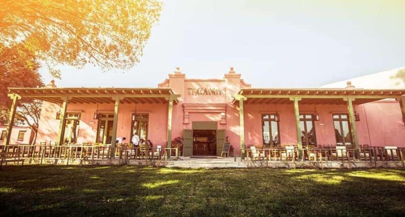 Ica: Tacama Pisco Route, Arrabal, Lovera Winery - Exploring Ica’s Wine and Pisco Heritage