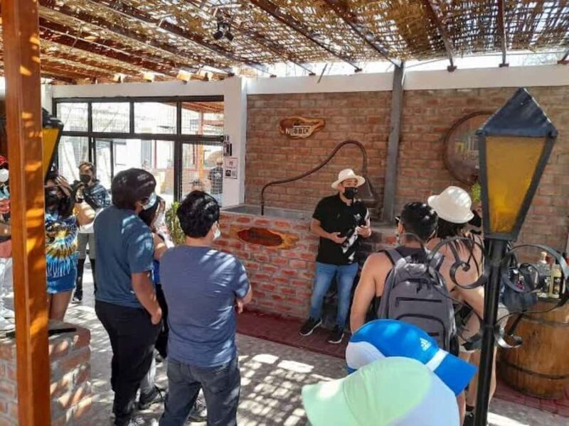 Ica: Tacama Winery and Pisco Tasting Tour with Hotel Pickup - Ica: Tacama Winery and Pisco Tasting Tour with Hotel Pickup