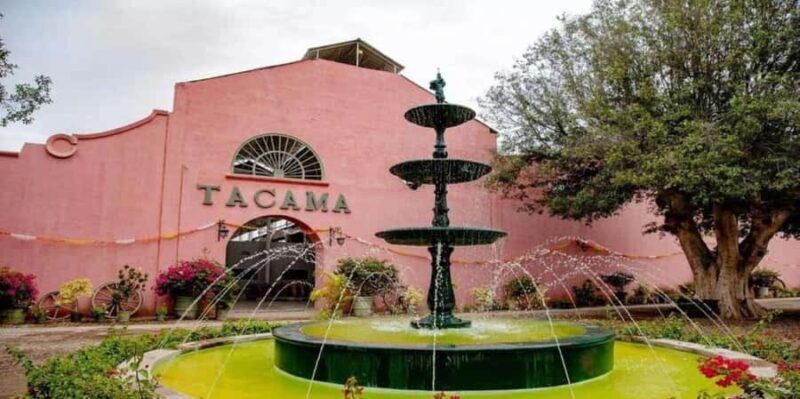 Ica: Tacama Winery and Pisco Tasting Tour with Hotel Pickup - Who Will Appreciate This Tour?