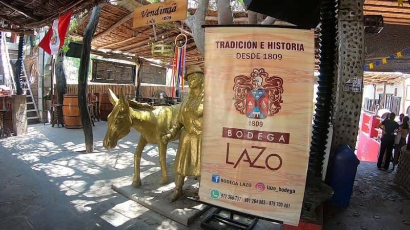 Ica: Wine and Pisco Tasting Tour - Who Should Consider This Tour?